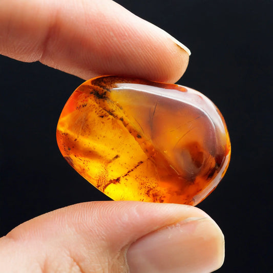Wie riecht Amber? Amber Parfums im Fokus Hani Perfumesduftzwilling parfum dupe zwilling