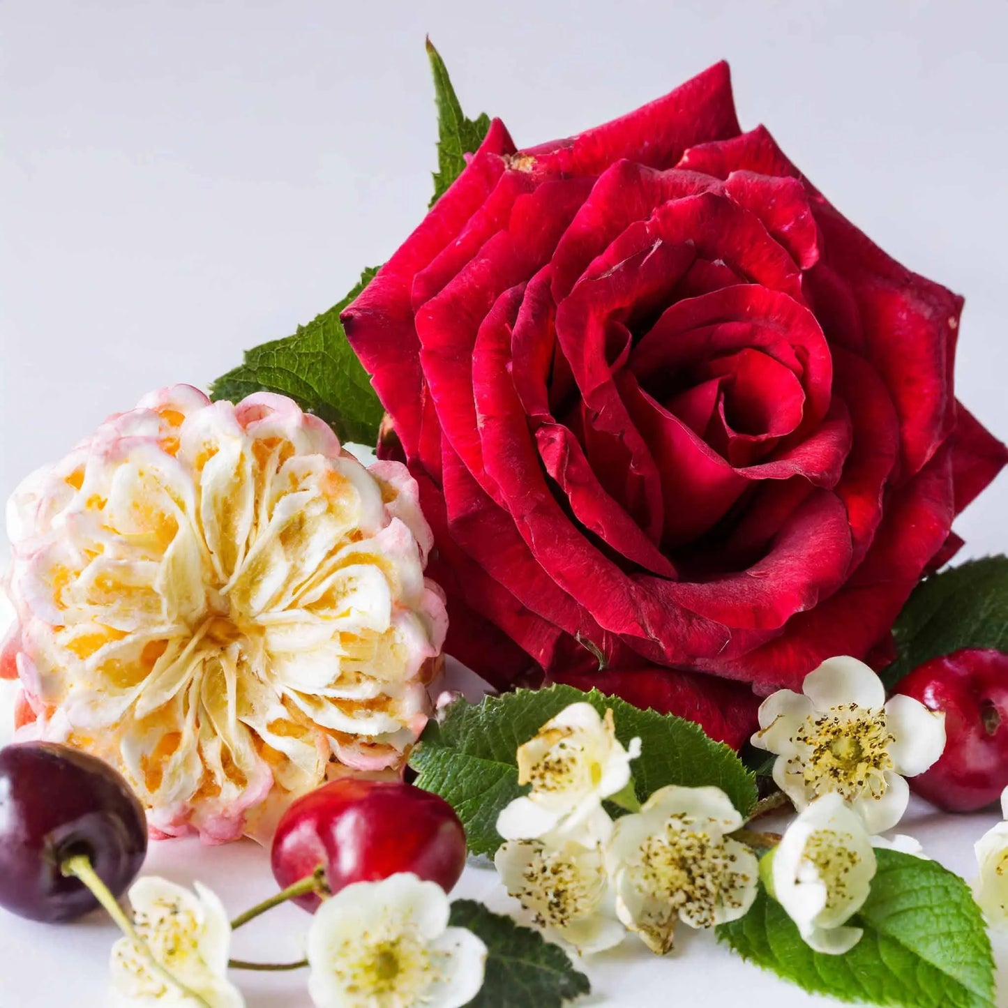 Hani Blossom Damen Parfum