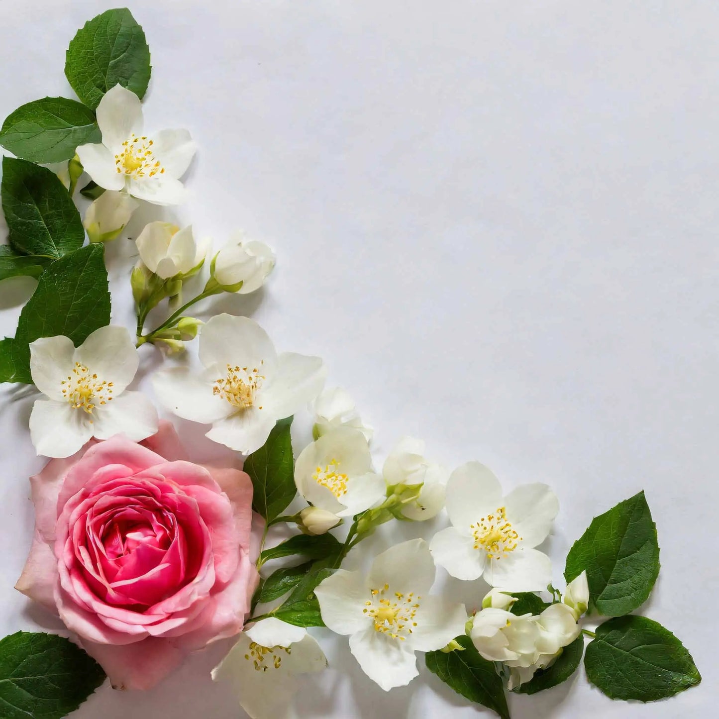 Hani Love Damen Parfum