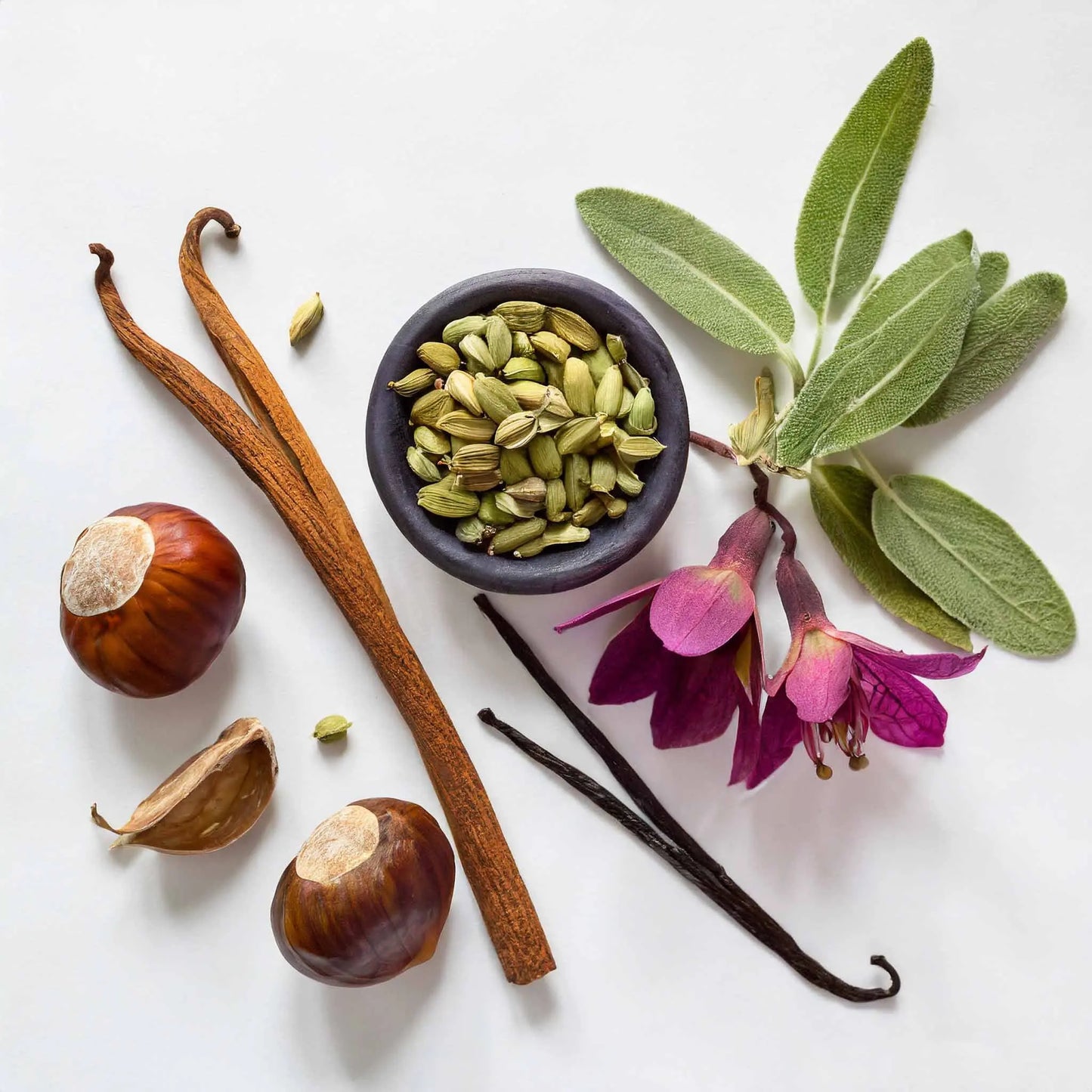 Hani Strong Herren Parfum