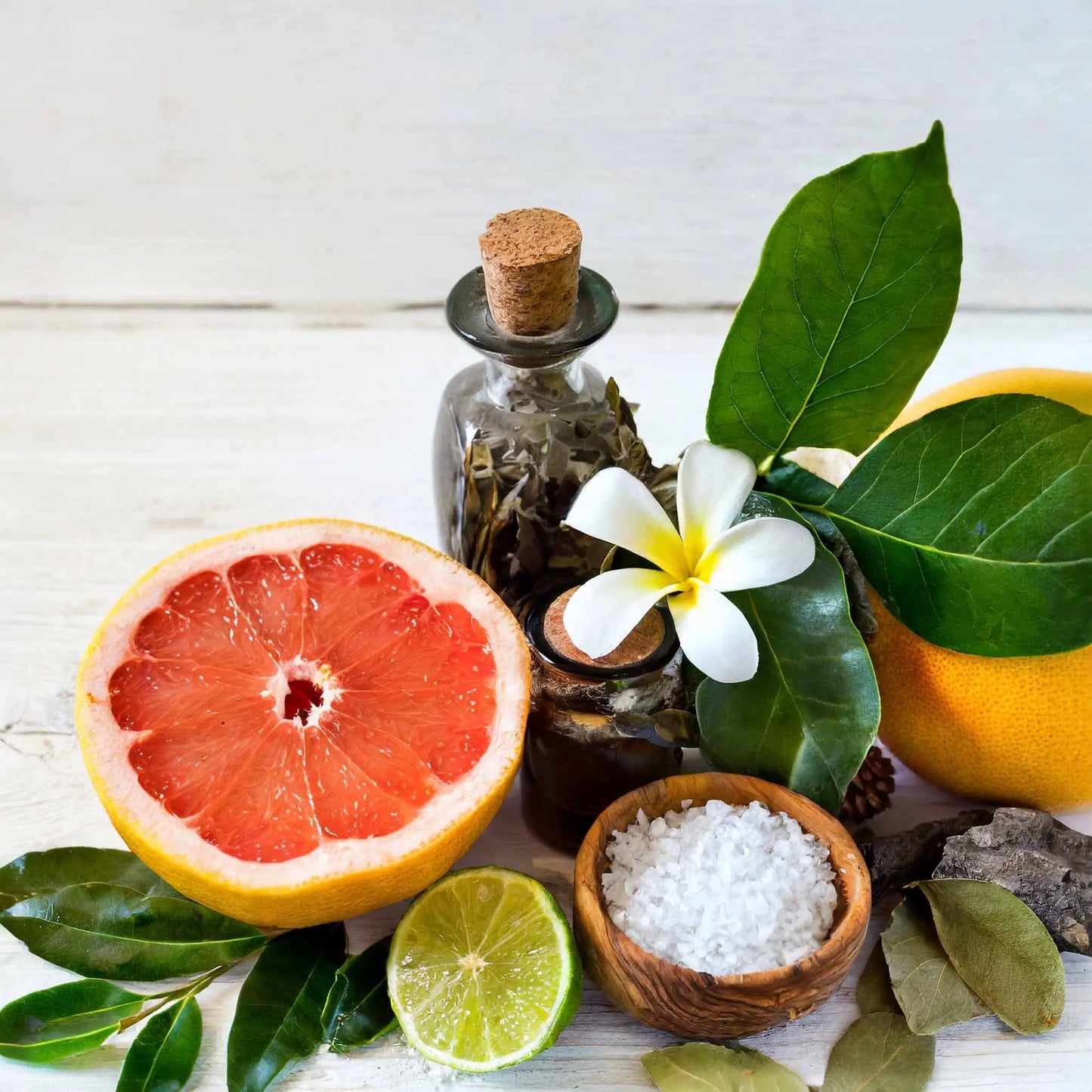 M2 Hani Victorious Hani Perfumes