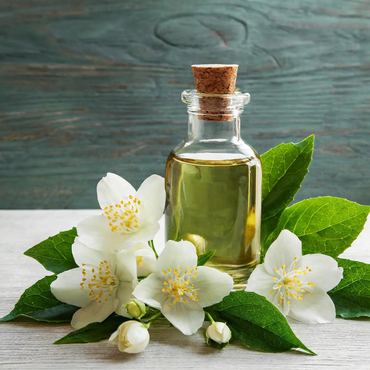 Jasmin Parfum Hani Perfumesduftzwillinge parfum dupe zwilling duftzwilling
