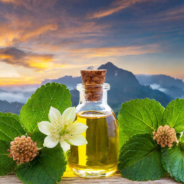 Patchouli Parfums