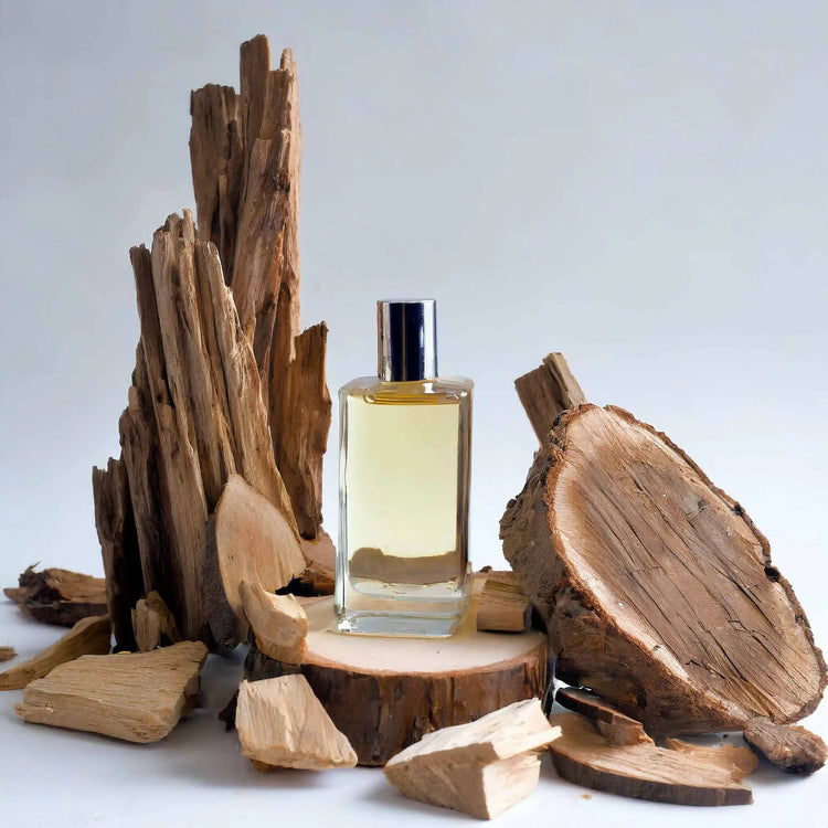 Holzige Parfums