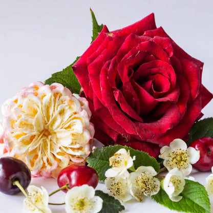 Hani Blossom Damen Parfum 