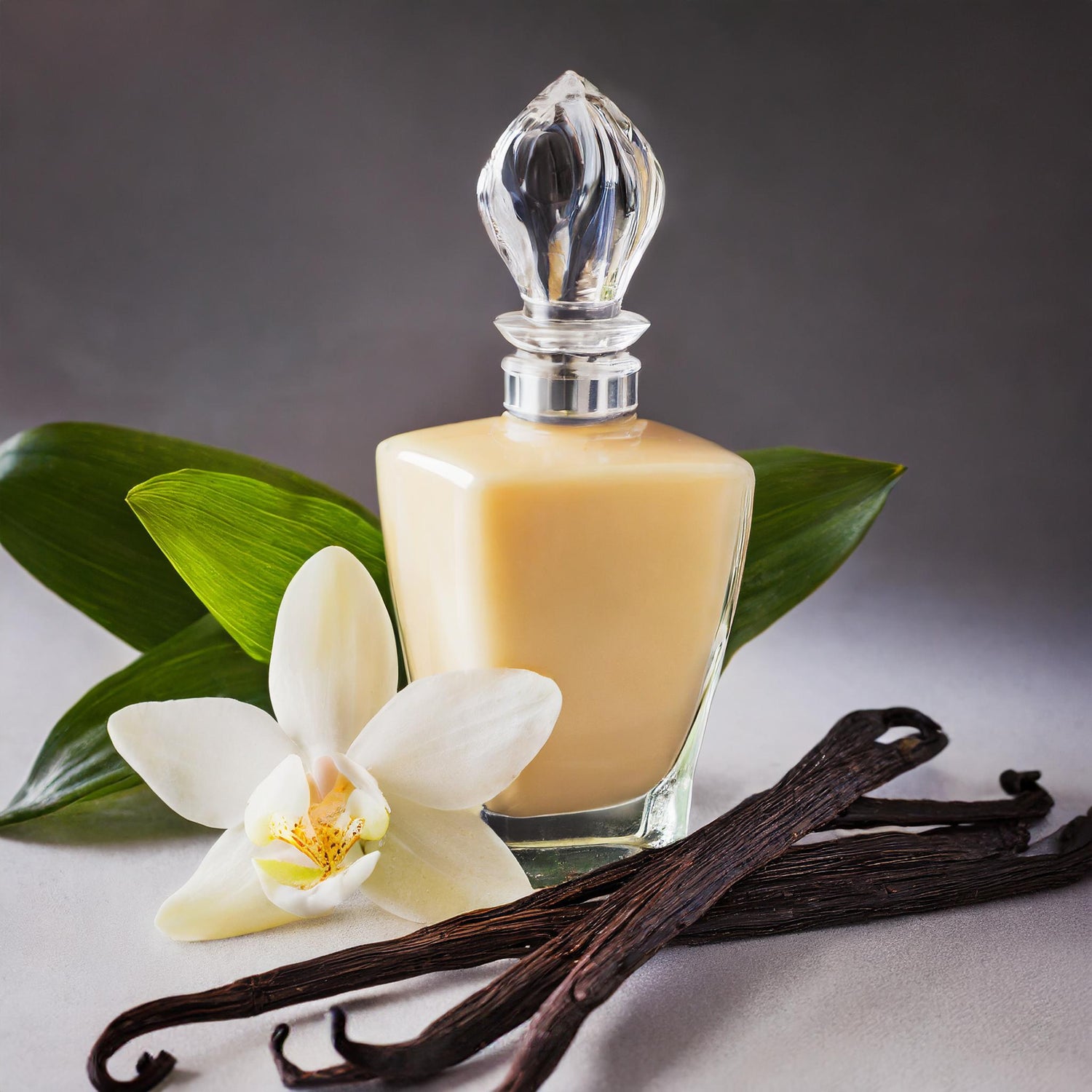 vanilla parfum